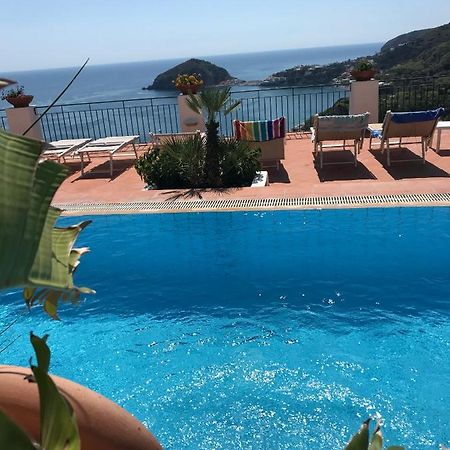 L' Ulivo Villa Nunzia Barano dʼIschia Dış mekan fotoğraf