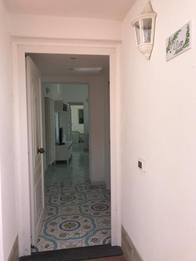 L' Ulivo Villa Nunzia Barano dʼIschia Dış mekan fotoğraf