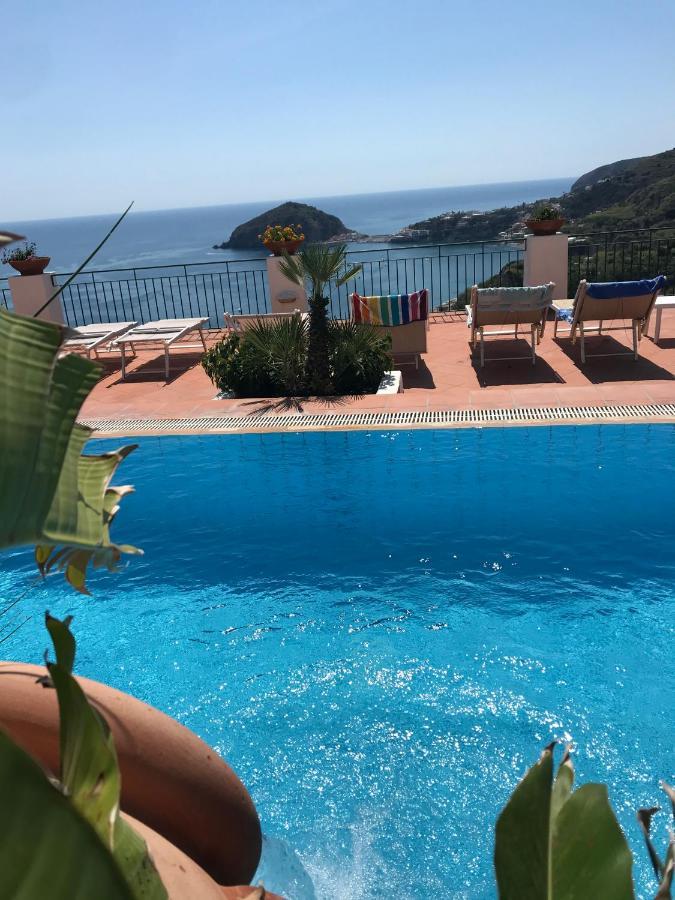 L' Ulivo Villa Nunzia Barano dʼIschia Dış mekan fotoğraf