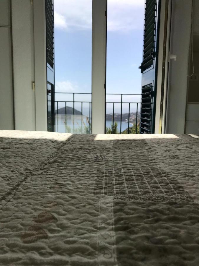 L' Ulivo Villa Nunzia Barano dʼIschia Dış mekan fotoğraf