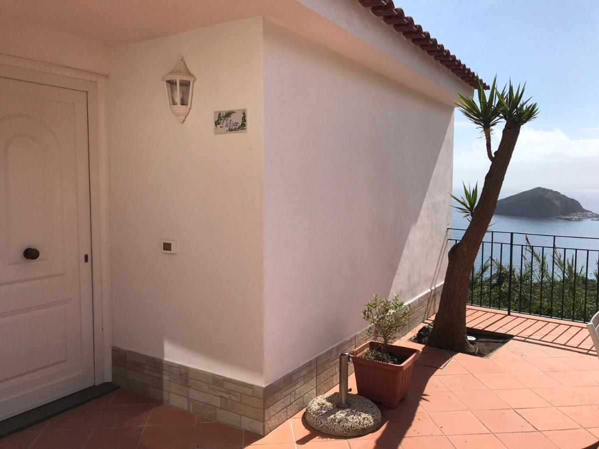L' Ulivo Villa Nunzia Barano dʼIschia Dış mekan fotoğraf